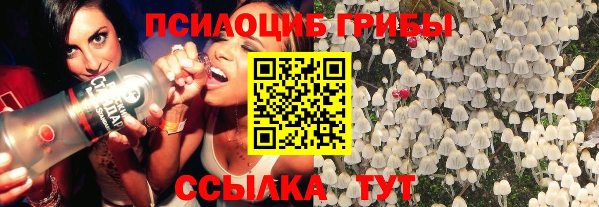 Псилоцибиновые грибы MAGIC MUSHROOMS  Вход с VPN  Галлюциногенные грибы прущие грибы  купить  сайты  Красногорск 